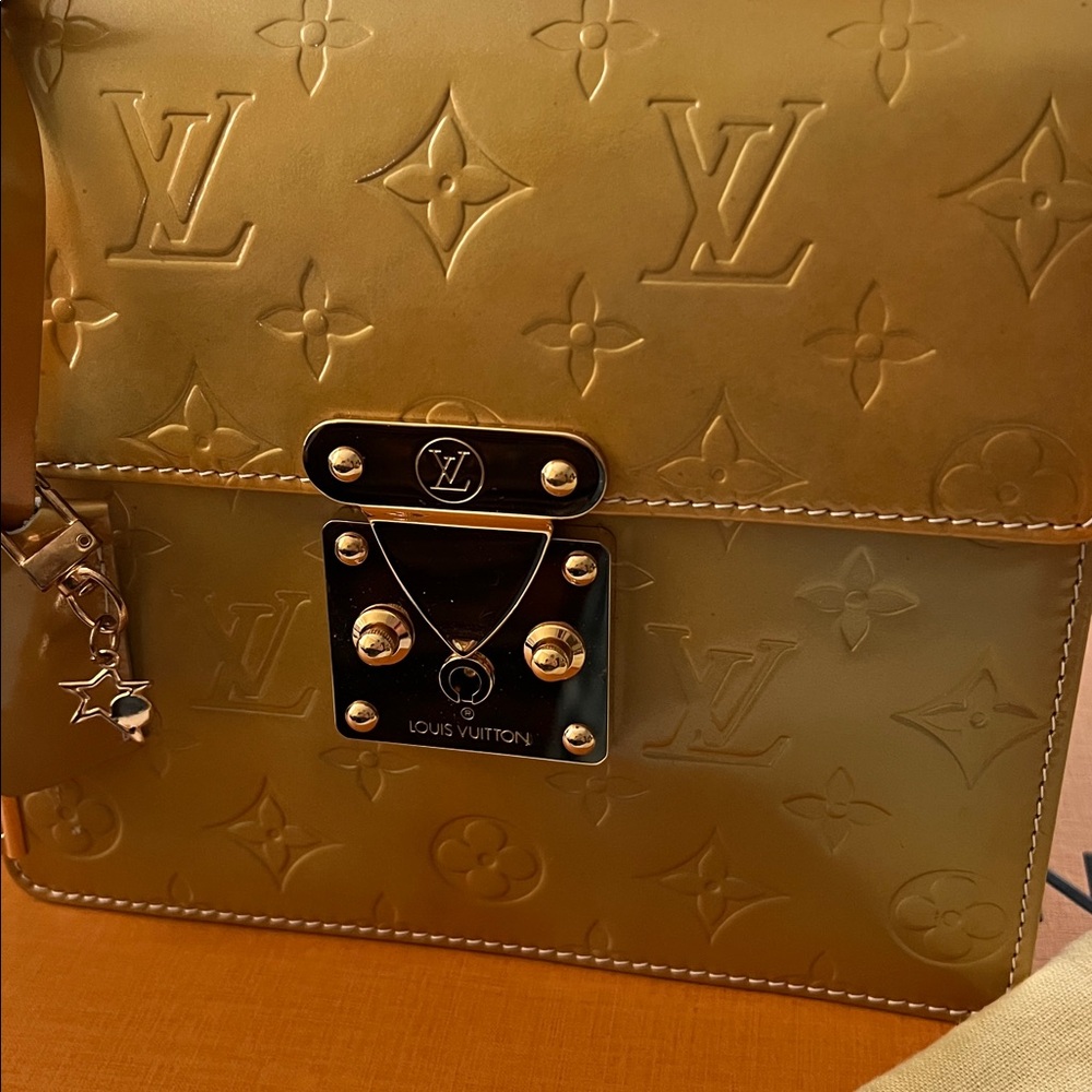 Louis Vuitton Gold Mini Bag - Picture 13 of 14
